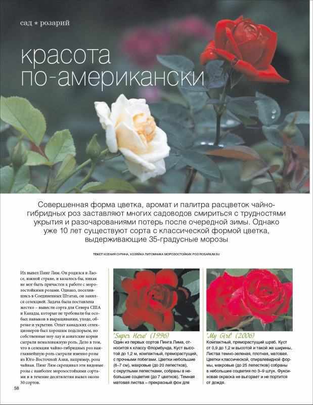 Журнал Садовник апрель 2012 года
